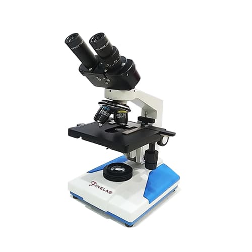 Microscope (oil lenses )